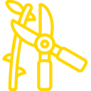 Pruning Pruning